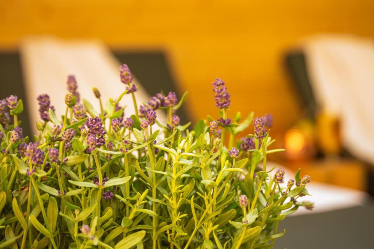 Wellnessoase Mitten In Triberg Triberg im Schwarzwald Exteriér fotografie